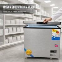 Congélateur coffre commercial à froid direct, monotempérature, autonome pour cuisine et supermarché