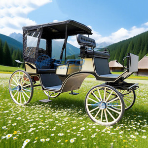 Carruaje Turístico Eléctrico, Carruaje Tirado por Caballos, Fabricantes Personalizan Carruajes para Bodas y Hoteles, Transporte Especial - Product Image 2