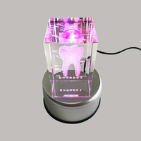 Modèle dentaire Transparent modèle de dent en cristal cadeau artisanal en cristal