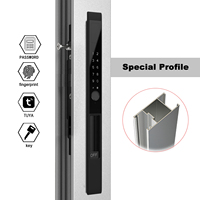 Serrure de porte intelligente biométrique Tuya avec empreinte digitale pour porte d'appartement