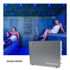Generador de Vapor Digital Moderno de 6kw con Control Digital, Drenaje Automático, Limpieza Automática, Generador de Vapor Húmedo de Acero Inoxidable para Hammam - Product Image 1