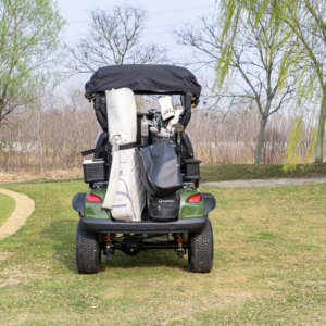 Produits les plus vendus : Voiturette de golf à deux places propulsée, idéale pour les loisirs en milieu campagnard - Product Image 2