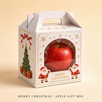 Großhandel Maßgefertigte Weihnachtsapfel-Geschenkbox, Karton-Obstverpackungsbox mit Griff & Rechteckigem Fenster