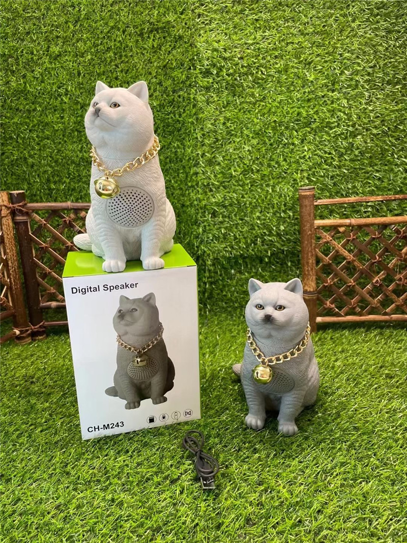 ねこ 激レア 王一博 YOUKU VIP会員 公式グッズ ハードカバー写真集 黒