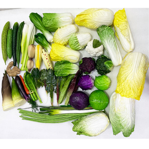 Conjunto de modelo de vegetales de PU simulado para educación preescolar Incluye repollo, brócoli, pepino, lufa, berenjena, accesorios cognitivos - Product Image 3