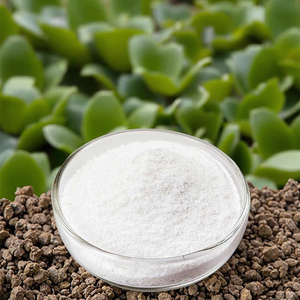 EDTA Mg Poudre de Magnésium Chélaté Organique Pureté 100% Engrais Solubilité 100% dans l'Eau pH 7-9 pour une Croissance Rapide des Cultures et des Plantes - Product Image 5