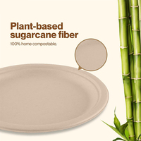 Assiettes jetables en bagasse 100 % compostables, écologiques, biodégradables, robustes, 10 pouces, sans PFAS, certifiées BPI