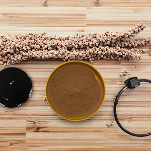 Ekstrak Herbal Kelas Makanan (Ekstrak Corydalis) dengan Vitamin Rasio 30:1 Larut Air Dikemas Vakum Bubuk Konsentrat Rizoma - Product Image 1