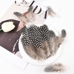 Pluma al por mayor 120 piezas 2-3 pulgadas pluma <span class=keywords><strong>de</strong></span> faisán <span class=keywords><strong>de</strong></span> gallina <span class=keywords><strong>de</strong></span> <span class=keywords><strong>Guinea</strong></span> para manualidades DIY sombreros atrapasueños decoración gran oferta para bodas - Product Image 2