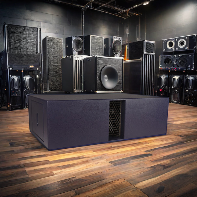 Professional PA System Large Speaker MINIBASS 2122 2x12" 600W 35Hz-125Hz Subwoofer for Club/Disco/Outdoor Use