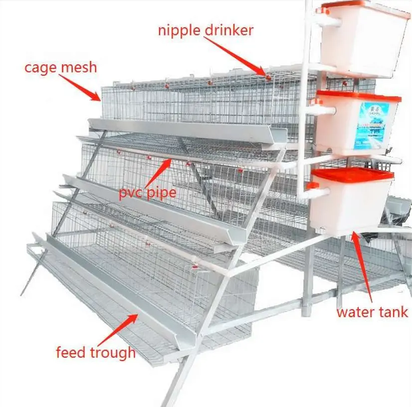 China fornecedores equipamentos agrícolas dobrando camada de bateria automática fowl camada gaiola de galinha para venda