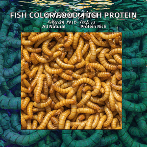 Mangime per Pesci Ornamentali di Piccole Dimensioni ad Alto Contenuto Proteico, Snack per Animali Domestici che Esalta il Colore, 100% Naturale in Sacchetti per Guppy, Frappi, Tartarughe e Gamberetti - Product Image 2