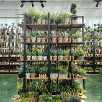 Arrangements de plantes succulentes artificielles finies à la main et résistantes aux UV avec pot