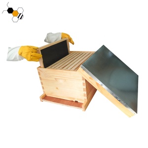 Thiết bị nghề nuôi ong 1 lớp sâu Hive hộp langstroth 10 khung tổ ong cho ong - Product Image 5