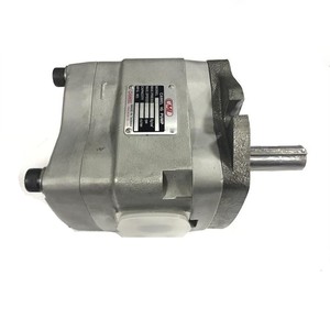 ปั๊มไฮดรอลิกแบบลูกสูบ CML รุ่น IGH IGM IGC ซีรีส์ IGC-4F-32-R IGM-5F-50-R-21 IGP4-H025 IGM-6E-125 IGM-6E-100 - Product Image 1