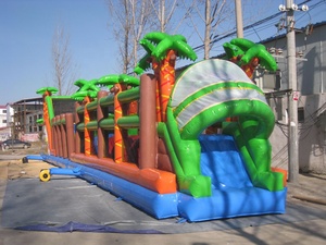 Carreras <span class=keywords><strong>de</strong></span> obstáculos inflables al aire libre gigantes con tobogán, <span class=keywords><strong>Centro</strong></span> <span class=keywords><strong>de</strong></span> juego inflable con juego <span class=keywords><strong>de</strong></span> bolas grandes a la venta - Product Image 6