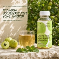 Thé Oolong Quatre Saisons Menthe & Amla Nihewan 240ml – Fabricant de Thé en Vrac OEM ODM – Emballage Personnalisé – Boisson Thé Oolong en Bouteille