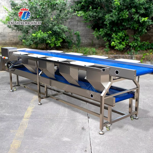 Kaliteli çift katmanlı sıralama konveyör/toplama tablosu meyve sebze paslanmaz çelik sıralama tablosu - Product Image 3