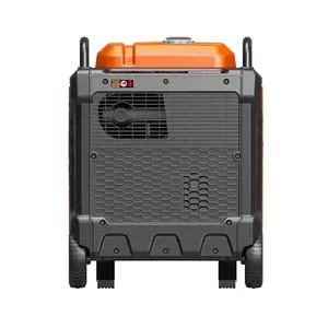 Whole House Gasoline And LPG And NG Generators 8.5KW Portable Power Generators For Home Use
