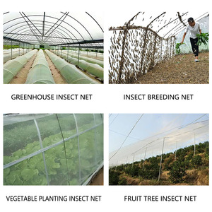 Chinese <strong>Manufacturing</strong> Plant Agricultural Pest Control <strong>Net</strong> Greenhouse Farm Pest Control <strong>Net</strong> - Product Image 6