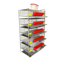 Nouvelle cage à cailles de type H durable pour l'élevage avicole moderne, gestion écologique de la production d'œufs