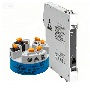 Sensor de Temperatura Endress+Hauser ITEMP TMT162 con Dos Sensores Universales - Product Image 5