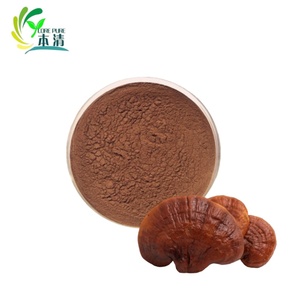 식품 학년 식물 추출물 대형 공급 하이 퀄리티 Reishi 버섯 추출물 분말 10%-50% 드럼 포장에 다당류 - Product Image 4