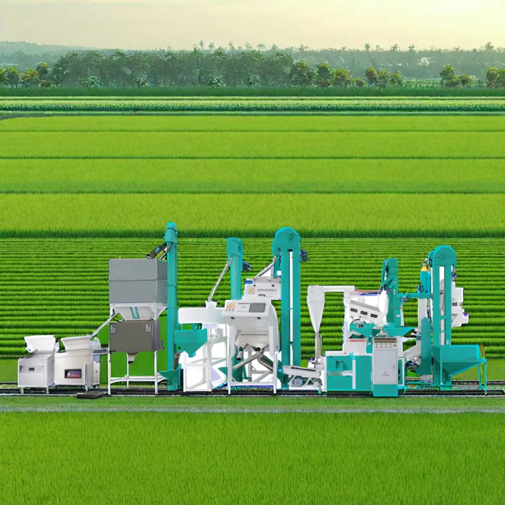 Dây chuyền sản xuất nhà máy gạo thương mại lớn hoàn chỉnh nhà máy xay xát gạo ở Malaysia