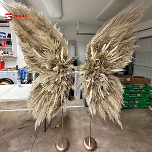 <span class=keywords><strong>Ali</strong></span> d'<span class=keywords><strong>Angelo</strong></span> in Pampas a Prezzo Conveniente, Sfondo con <span class=keywords><strong>Ali</strong></span> di Pampas, <span class=keywords><strong>Ali</strong></span> di <span class=keywords><strong>Piume</strong></span> d'<span class=keywords><strong>Angelo</strong></span> a Prezzo Economico, Vendita all'Ingrosso per Feste - Product Image 3