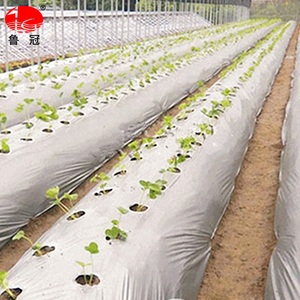 24 heures de Service Client En Ligne Invernadero <span class=keywords><strong>Agricole</strong></span> de Paillis En Plastique Argent <span class=keywords><strong>Noir</strong></span> <span class=keywords><strong>Film</strong></span> Couche de Paillis - Product Image 2