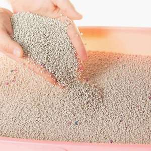 Arena para Gatos de Bentonita en Forma de Bola, 99% Libre de Polvo, Fuerte Aglutinación, de Sodio, de Fábrica OEM - Product Image 2