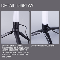 Nouvelle Lampe sur Pied LED Intelligente d'Ambiance, Lampe d'Angle avec Télécommande, Lampe de Sol d'Angle RGB pour PC, Nouveautés Modernes USB pour la Décoration Intérieure