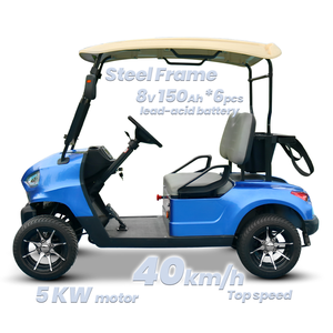 Carrito de Golf de 2 Plazas para Entusiastas - Product Image 3