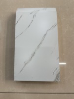 Panel de Revestimiento Metálico Aislado, Ignífugo e Impermeable con Aspecto de Mármol de Lujo para Villas Prefabricadas y Uso Comercial