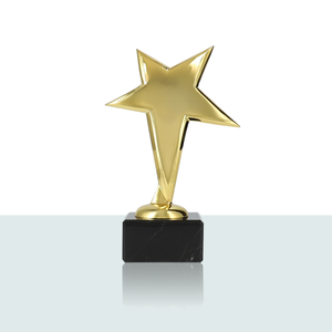 Pokal Rising Star 21,0 cm - Product Image 1