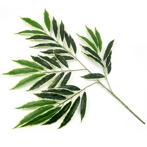 Feuilles Artificielles Décoratives pour Jardin, <span class=keywords><strong>Plantes</strong></span> Artificielles d'Extérieur 2026, Panneau Mural Végétal pour Plafond, Feuilles Vertes Artificielles - Product Image 5
