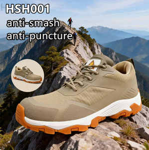 ZYF, Botas de Montañismo y Senderismo 2026 con Puntera de Material Compuesto en Venta, Equipo para Exteriores, Suela de Soporte Resistente, Botas Ortopédicas HSH001 - Product Image 1