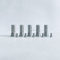 Abutment temporaire latéral pour système d'implantation MIS avec hexagone anti-rotation et base en titane avec vis