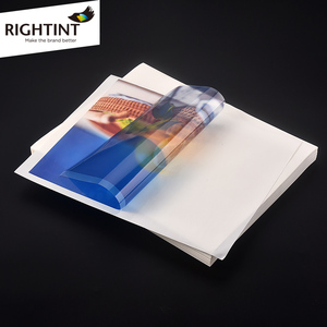 <span class=keywords><strong>Film</strong></span> PET transparent 50 microns, autocollant adhésif, masquage sensible à la pression, activé à l'eau, fusion à chaud, acrylique simple face - Product Image 3