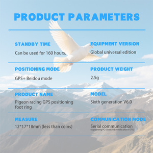 Traceur GPS pour oiseaux perroquets <span class=keywords><strong>aigle</strong></span>, suivi des pigeons voyageurs, lecture de la trajectoire, anneau de patte, entraînement au vol, portée de 500 kilomètres - Product Image 6