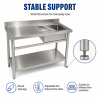 RVS spoelbaktafel 304 voor professionele keukens met afvoergoot voor hotels en catering