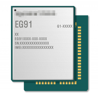 Module LTE Cat1 EG91-EX, couverture mondiale LTE UMTS/HSPA+ et GSM/GPRS/EDGE, EG91EXGA-128-SGNS pour la mesure intelligente et le suivi des actifs