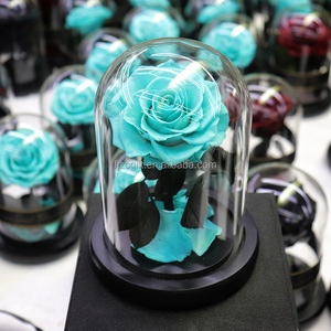 Regalo del Día de la madre de San Valentín 2025, flores <span class=keywords><strong>rosas</strong></span> para siempre, <span class=keywords><strong>rosas</strong></span> naturales hechas a mano eternas preservadas en cúpula de cristal para mujeres <span class=keywords><strong>y</strong></span> niñas - Product Image 6