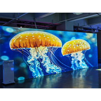 Grand écran de projection immersif interactif pour musée, aquarium et salle d'exposition