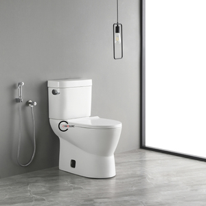 WC deux pièces pour personnes à mobilité réduite, cuvette allongée, double chasse, à poser au sol, design minimaliste chinois, équipement de salle de bain - Product Image 5