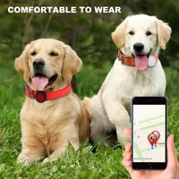 2022 vendita calda accessori per animali domestici custodia protettiva in Nylon di alta qualità GPS Tracker AirTag collare per cani Pet regolabile