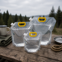 Pochette souple portable avec bec verseur, poignée de transport transparente, taille personnalisée pour l'emballage d'eau potable
