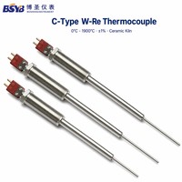Glass Melting Sintering Furnace Thermocouple 0-1900°C C-Type W-Re High Temperature Temperature Sensor