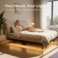 Lit suspendu en fer forgé multi-tailles, design simple avec éclairage, 2 mètres, avec télécommande, pour chambre à coucher