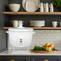 Cuiseur à riz Articles de cuisine électriques Mini cuiseurs à pression commerciale 15 litres Acier inoxydable Multi Purpose Zojirushi